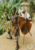 Traditional 1m Zulu shield