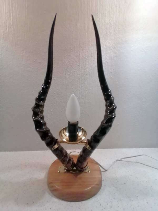 Impala horn bedside lamp stand