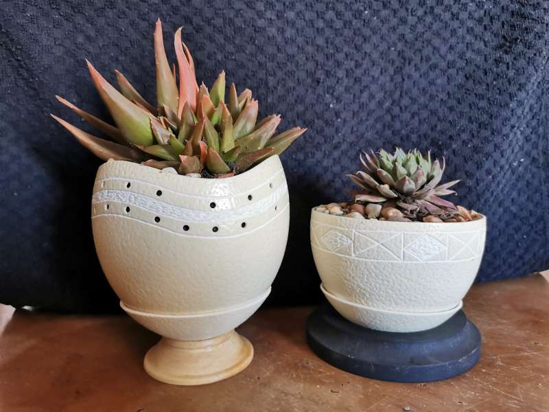 Ostrich egg shell planters and bowls
