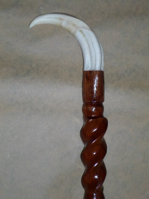 African warthog tusk handle cane