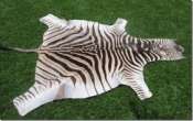 A Grade Zebra skins