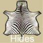 Animal game skins Zebra hides