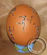 African bushman ostrich egg