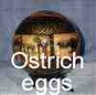 African ostrich eggs