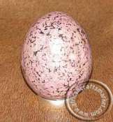 African Brown Opaline Stone Egg
