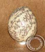 African Leopidoite Stone Egg
