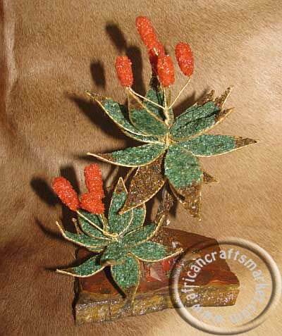 African gemstone Aloe tree