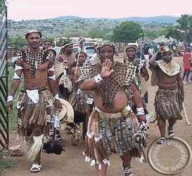 Zulu iBeshu apron