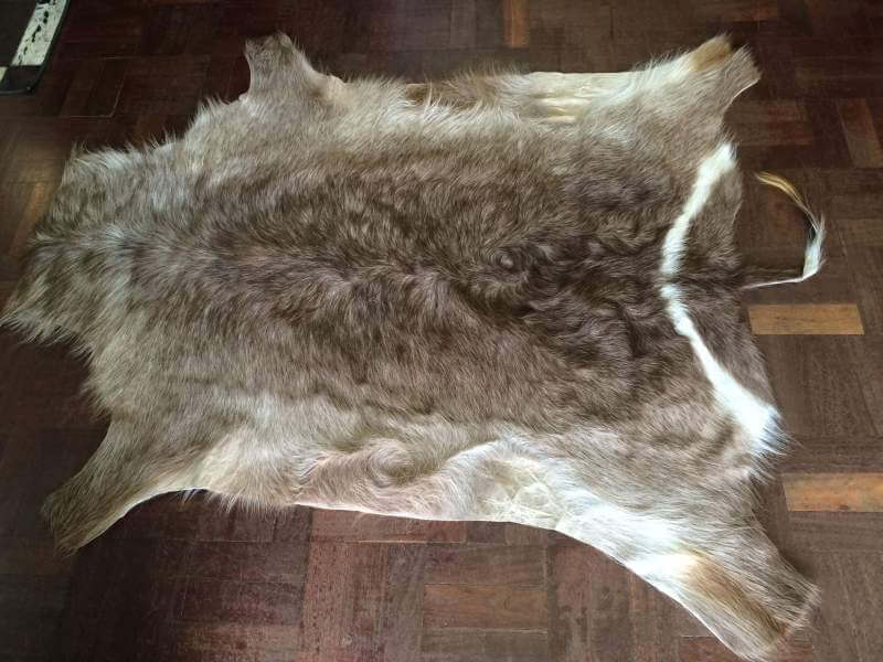African waterbuck hide