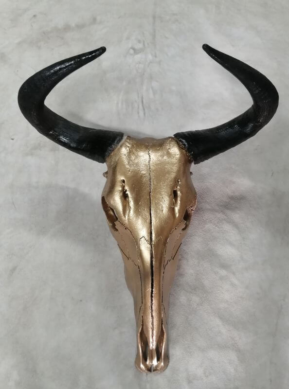 Gold painted Blue Wildebeest skull