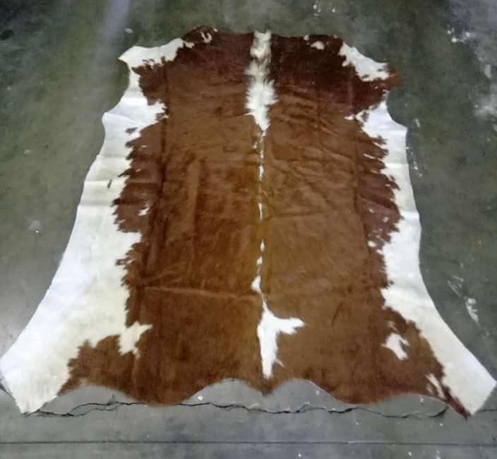 Nguni Cow Hides Nguni skins