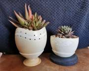 Ostrich egg shell planters and bowl Ostrich egg shell planters and bowls