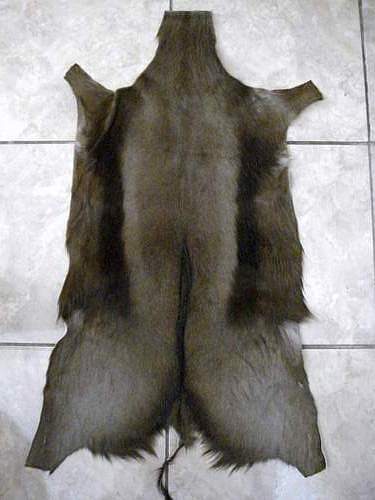 Black Springbok hides