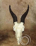 African crafts specials