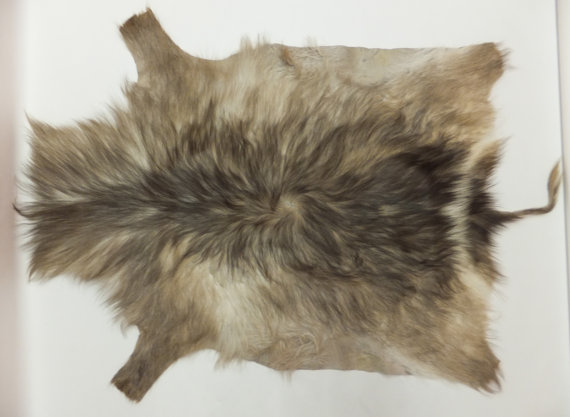 African waterbuck hide