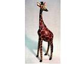 African wooden Giraffe