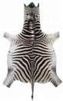 A grade Burchell Zebra hides