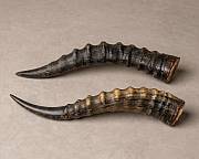 African Natural Blesbok Horns