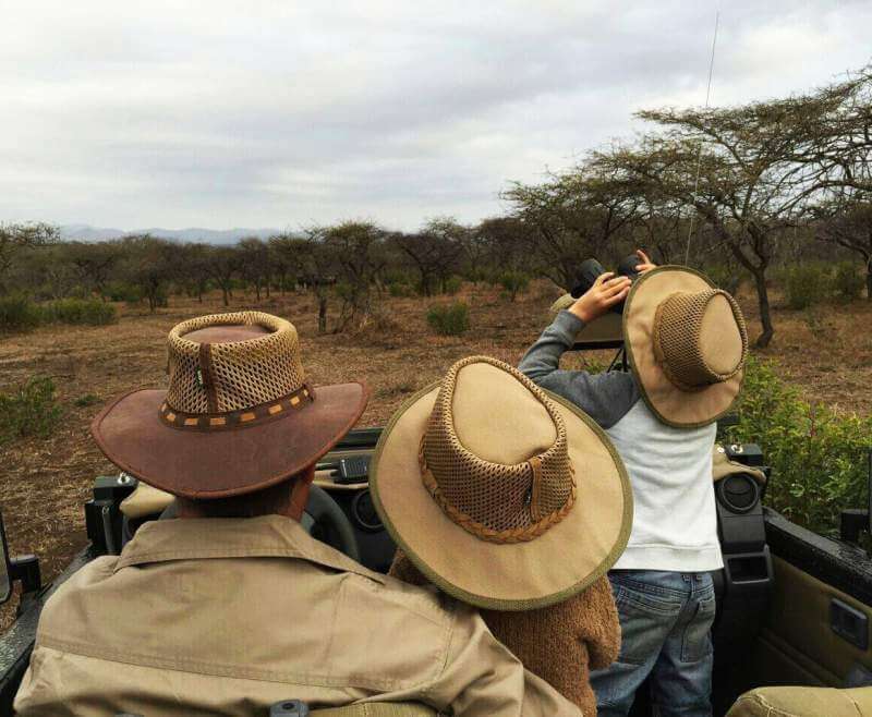 African bush hats