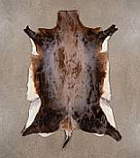 Premium Tanned Blesbok Game Skin Quality High-quality leather backing and soft hair-on coat of a professionally tanned blesbok skin