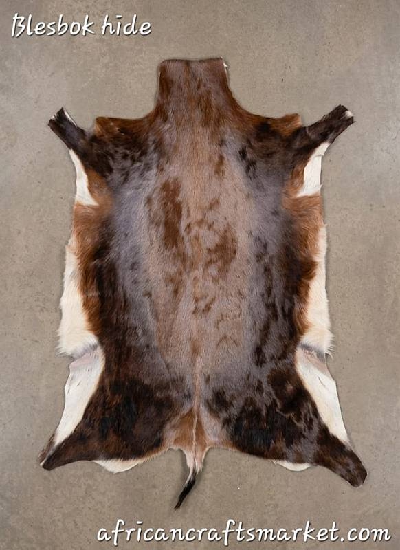 Premium tanned African blesbok skin hide flat lay showing the natural rich brown coat and distinct white markings