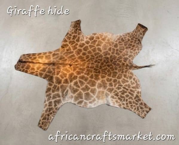 Authentic Tanned African Giraffe Hide Rug Large premium tanned African giraffe skin hide flat lay showcasing the magnificent, genuine geometric dark chestnut and cream block patterns