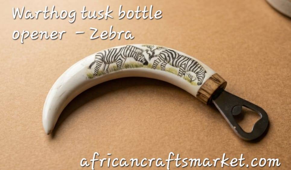 Warthog tusks bottle openers - Zebra Detailed scrimshaw etching of zebras in the savanna on an authentic polished warthog tusk, displayed on a wooden stand