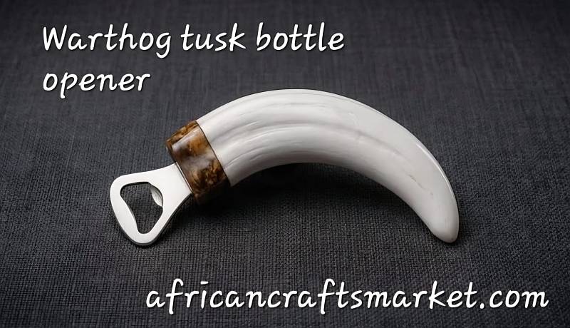 Warthog tusks bottle openers A genuine, uncarved African warthog tusk bottle opener showcasing its natural ivory growth lines, rustic texture, and polished finish