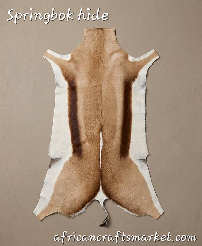 A premium, professionally tanned African Springbok skin rug showcasing a rich golden-brown coat, deep espresso side stripes, and a prominent white pronk