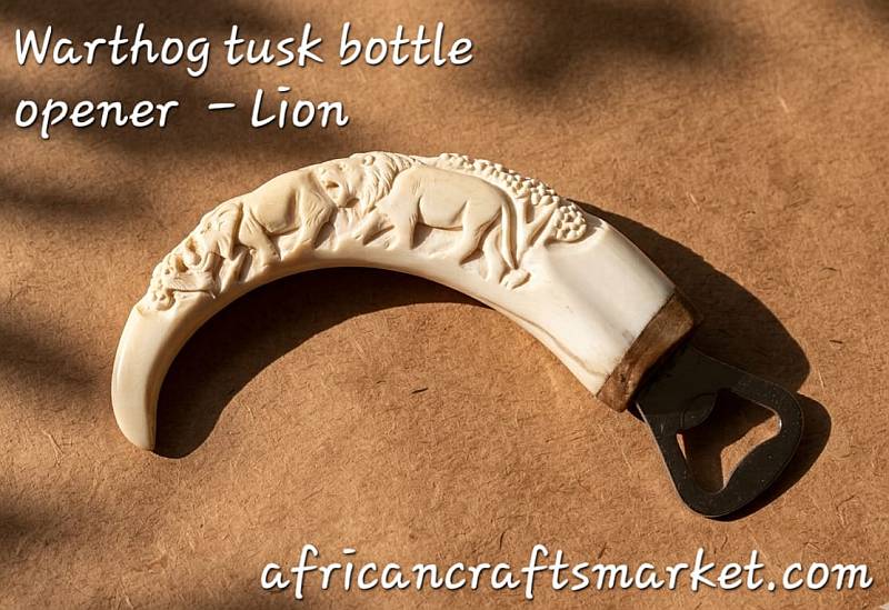 Warthog tusks bottle openers - lions A genuine African warthog tusk bottle opener featuring a highly detailed, hand-carved 3D relief sculpture of a male lion head with a full mane on the polished ivory handle