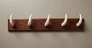 warthog tusk hanging rack Authentic African Warthog Tusk Hanging Rack