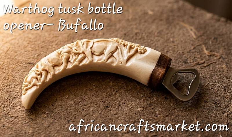 Warthog tusks bottle openers -buffalo A genuine African warthog tusk bottle opener featuring a detailed, hand-carved 3D relief sculpture of a Cape Buffalo head with a prominent horn boss along the ivory handle