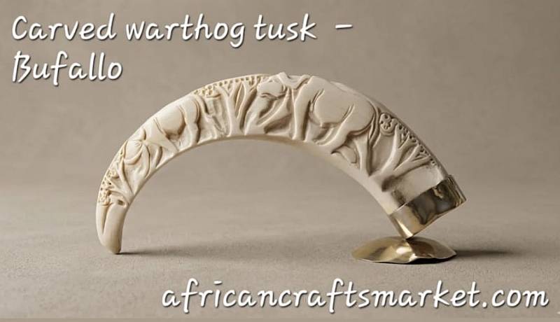 Carved Warthog Tusk - Buffalo asterfully hand-carved genuine warthog tusk sculpture featuring a detailed relief carving of an African Cape Buffalo