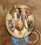 African ostrich eggs
