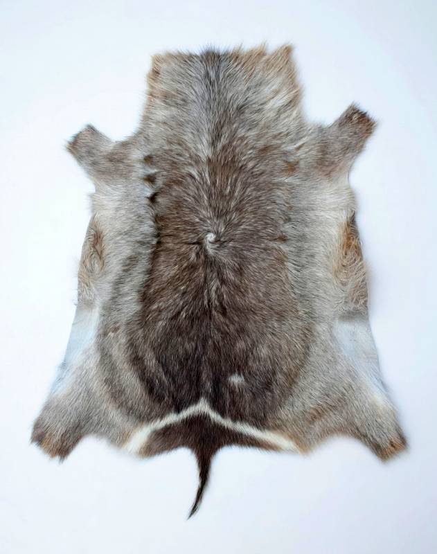 Tanned Waterbuck hide for sale African Waterbuck Hide