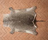 Waterbuck skin / hide Waterbuck hide - skin