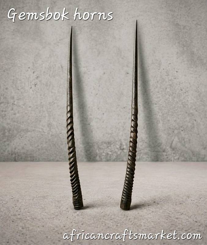 Pair of authentic African Gemsbok horns Authentic African Gemsbok horn for sale