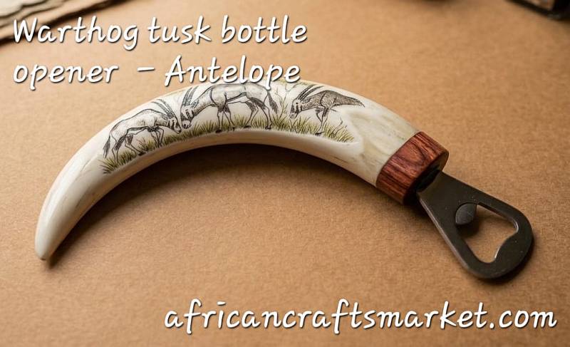 Warthog tusks bottle openers - abtelope A genuine African warthog tusk bottle opener featuring a detailed hand-carved relief of an African antelope along the ivory handle