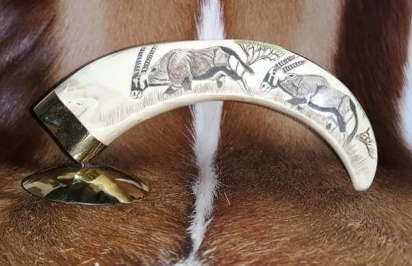 Scrimshaw Warthog Tusk - Gazelle